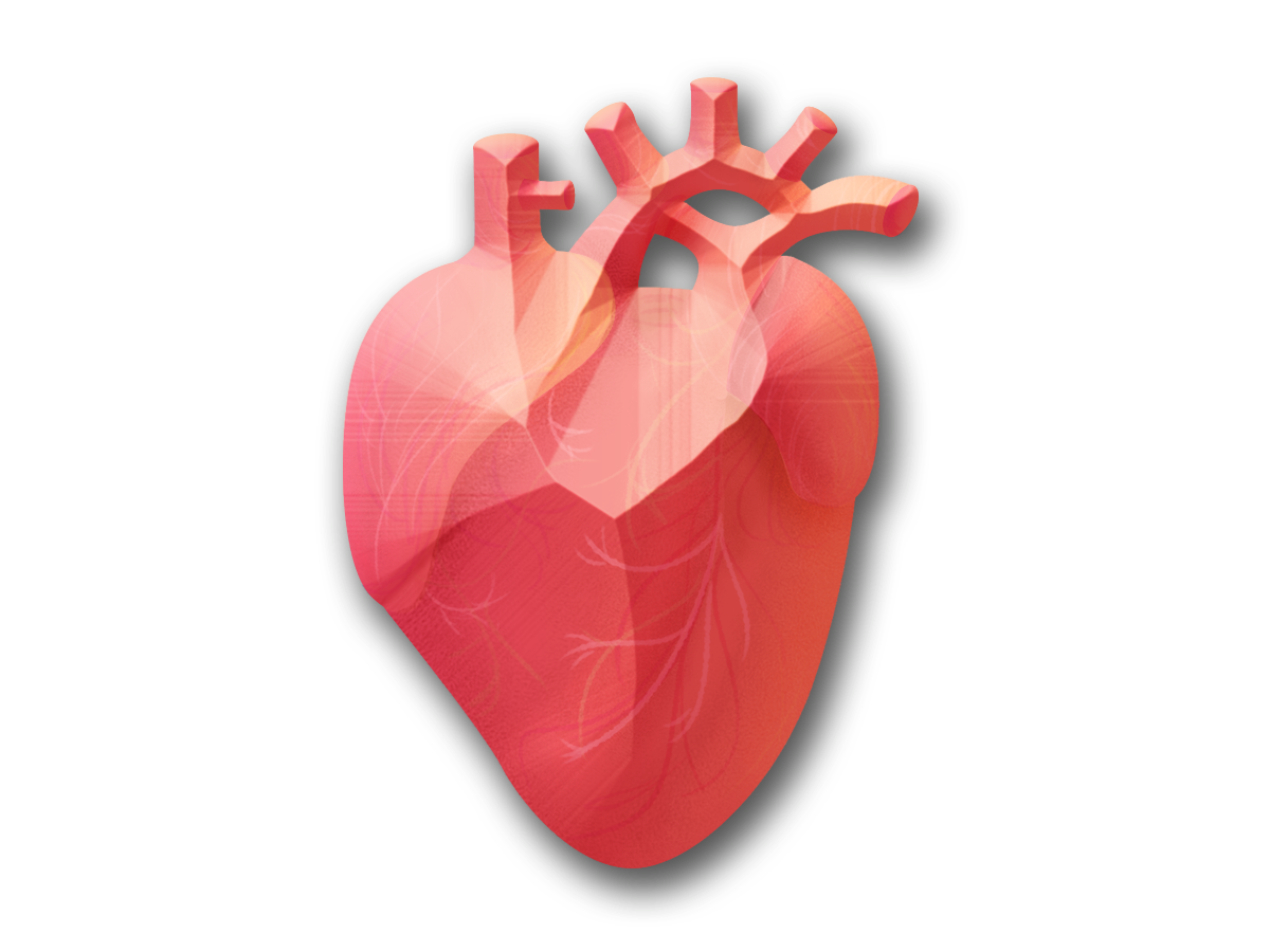 CardiaX CardiaX
