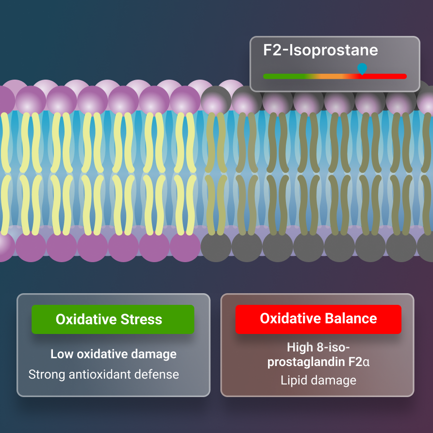 Redox Risk-Oxidative stress