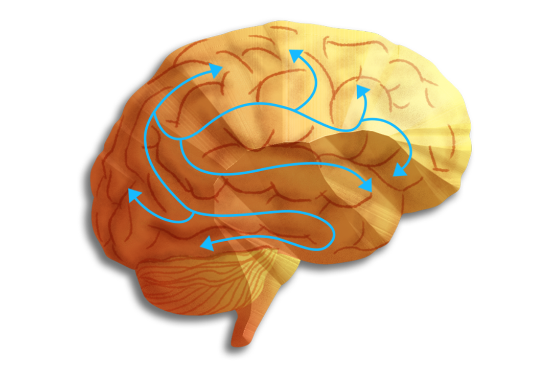 NeurotransmitterLogo