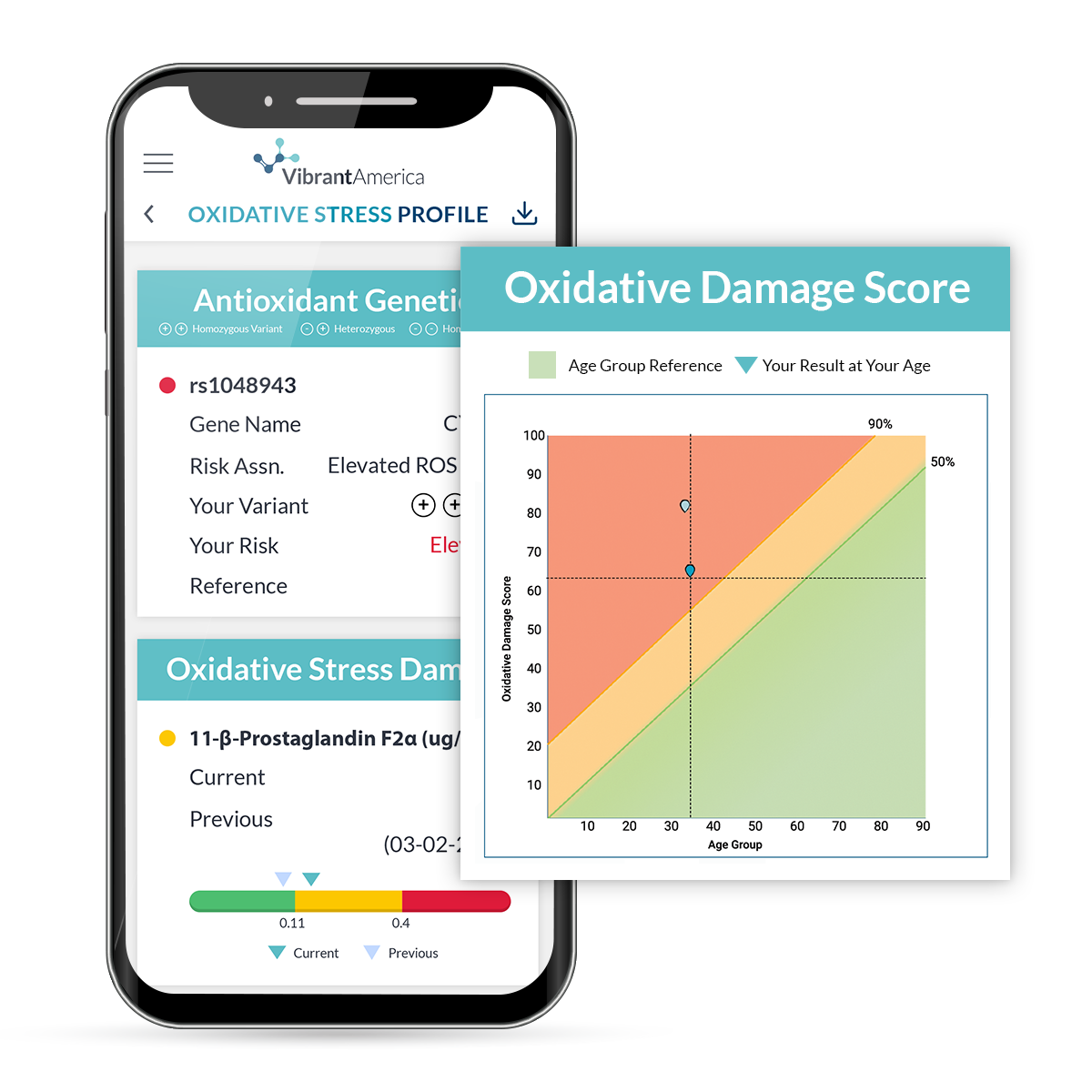 Oxidative Stress Mobile Report-1 Oxidative Stress Mobile Report-1