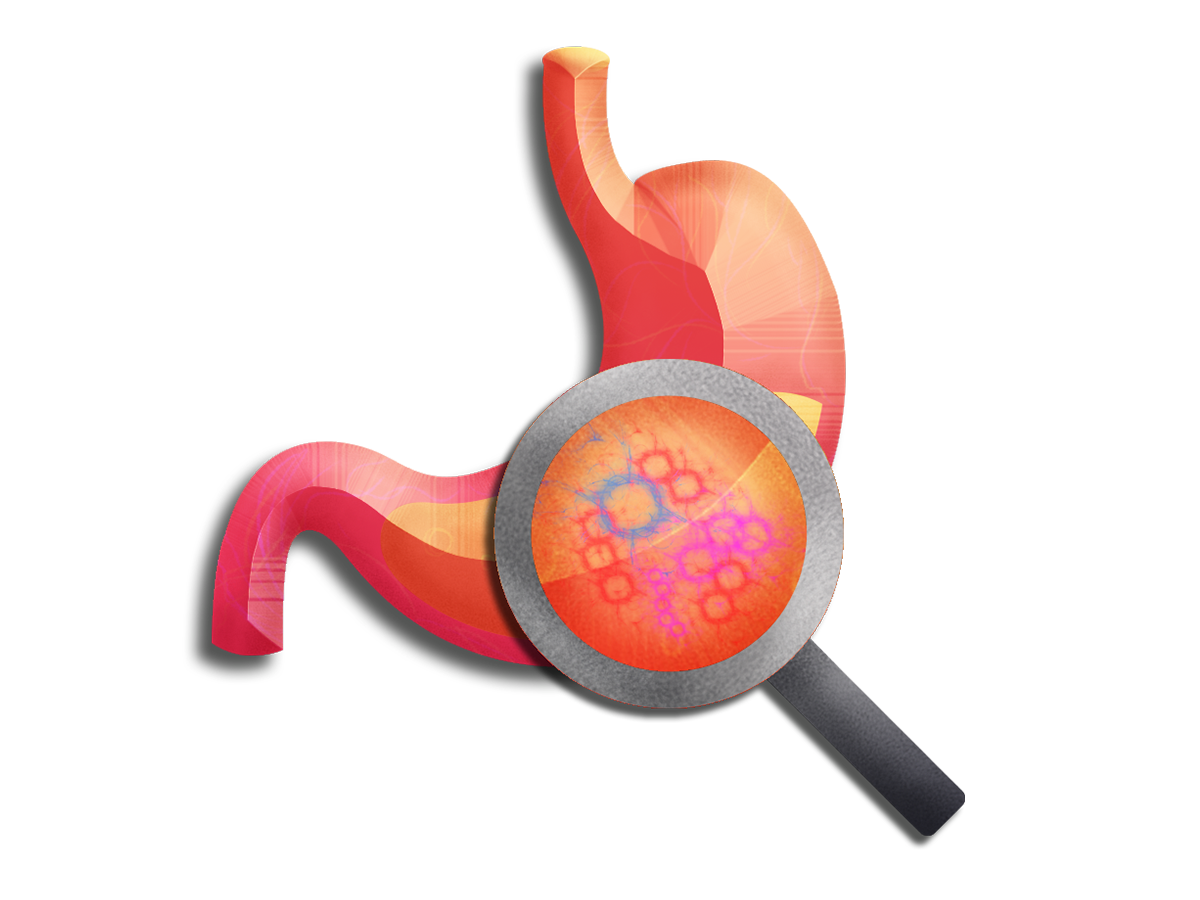 Gut Zoomer-Icon