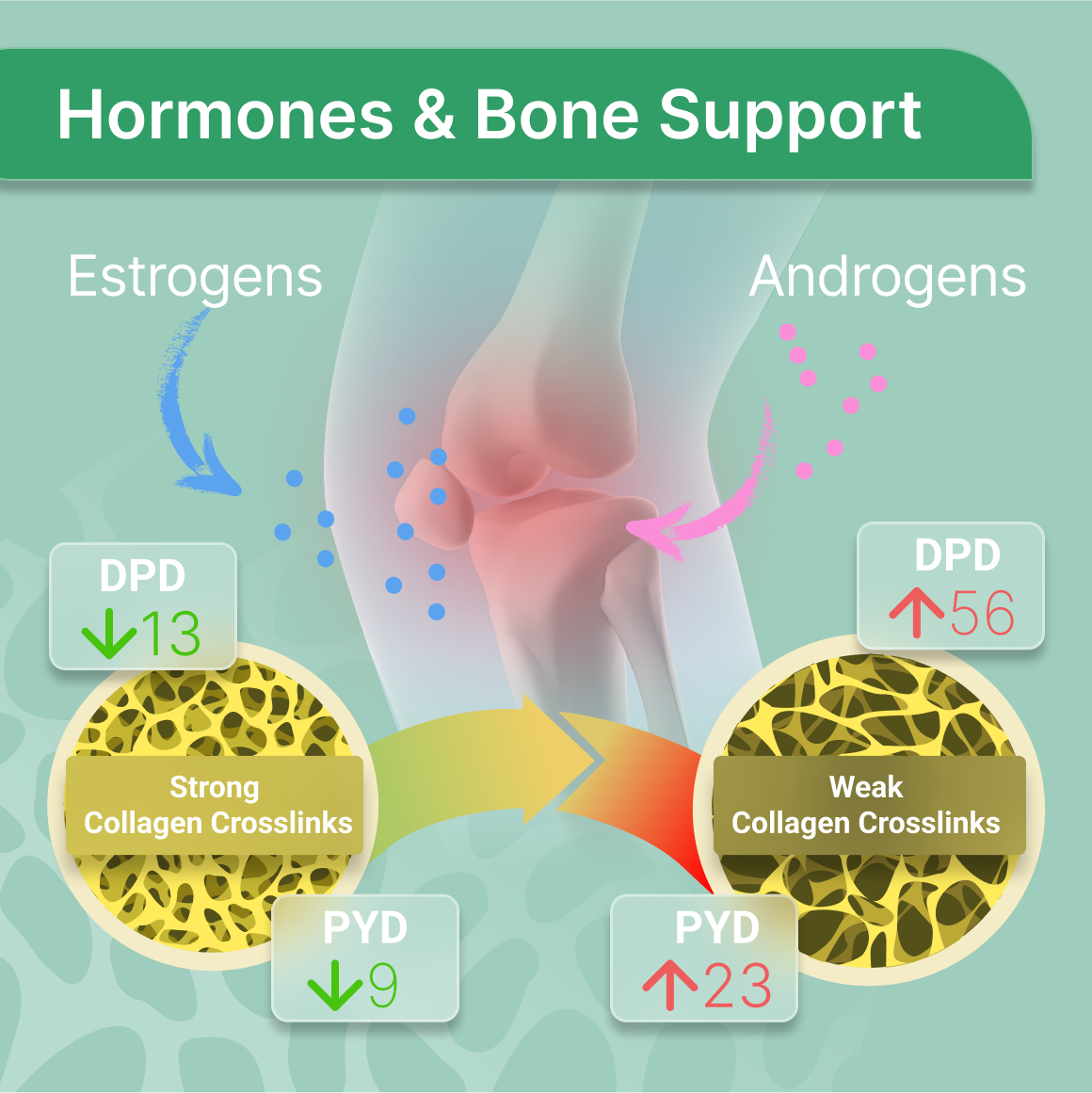 Master Advanced Hormone Testing