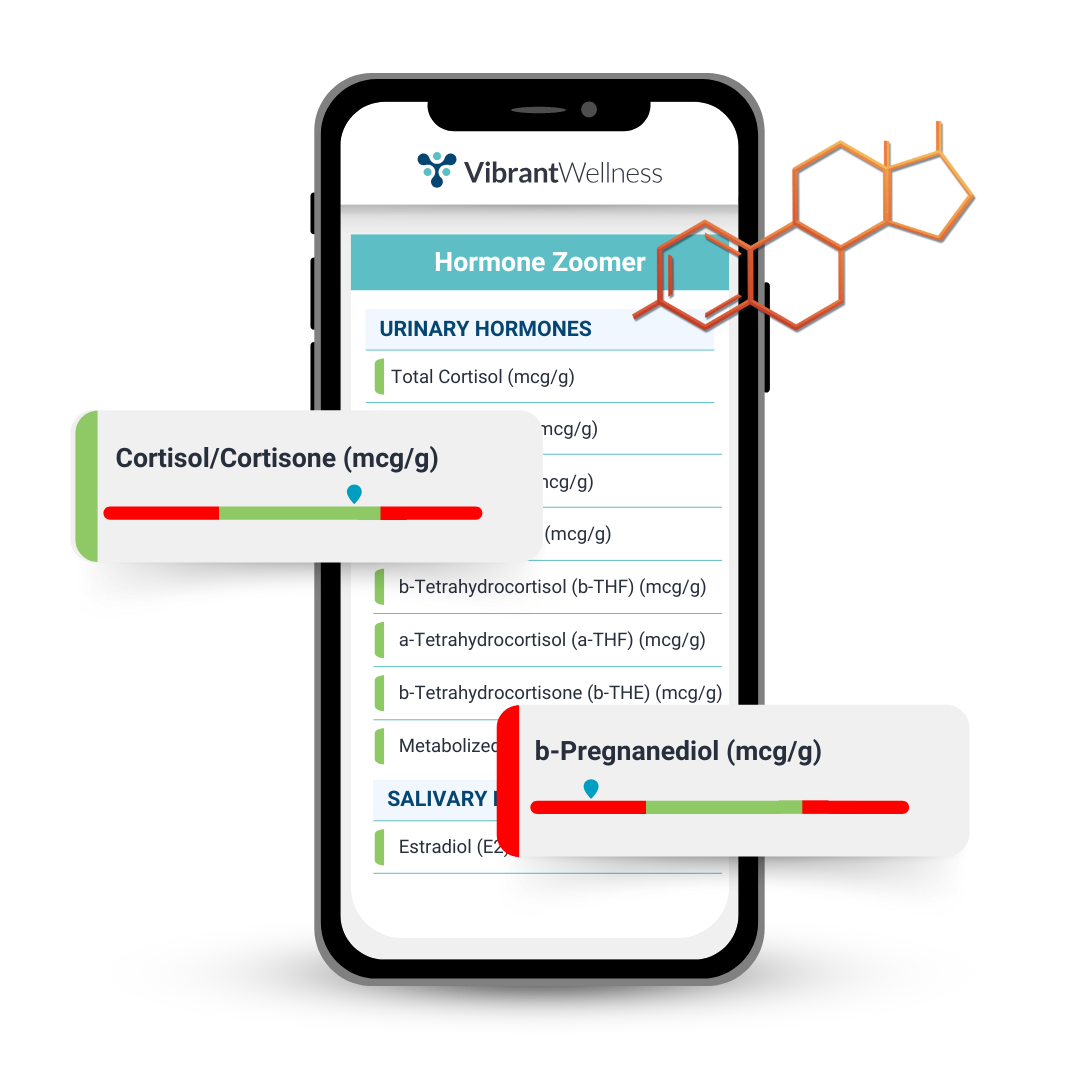 Hormone Zoomer Sample Report Mockup