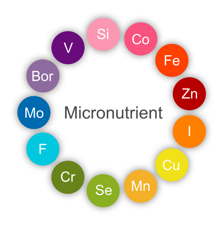 Micronutrient 01