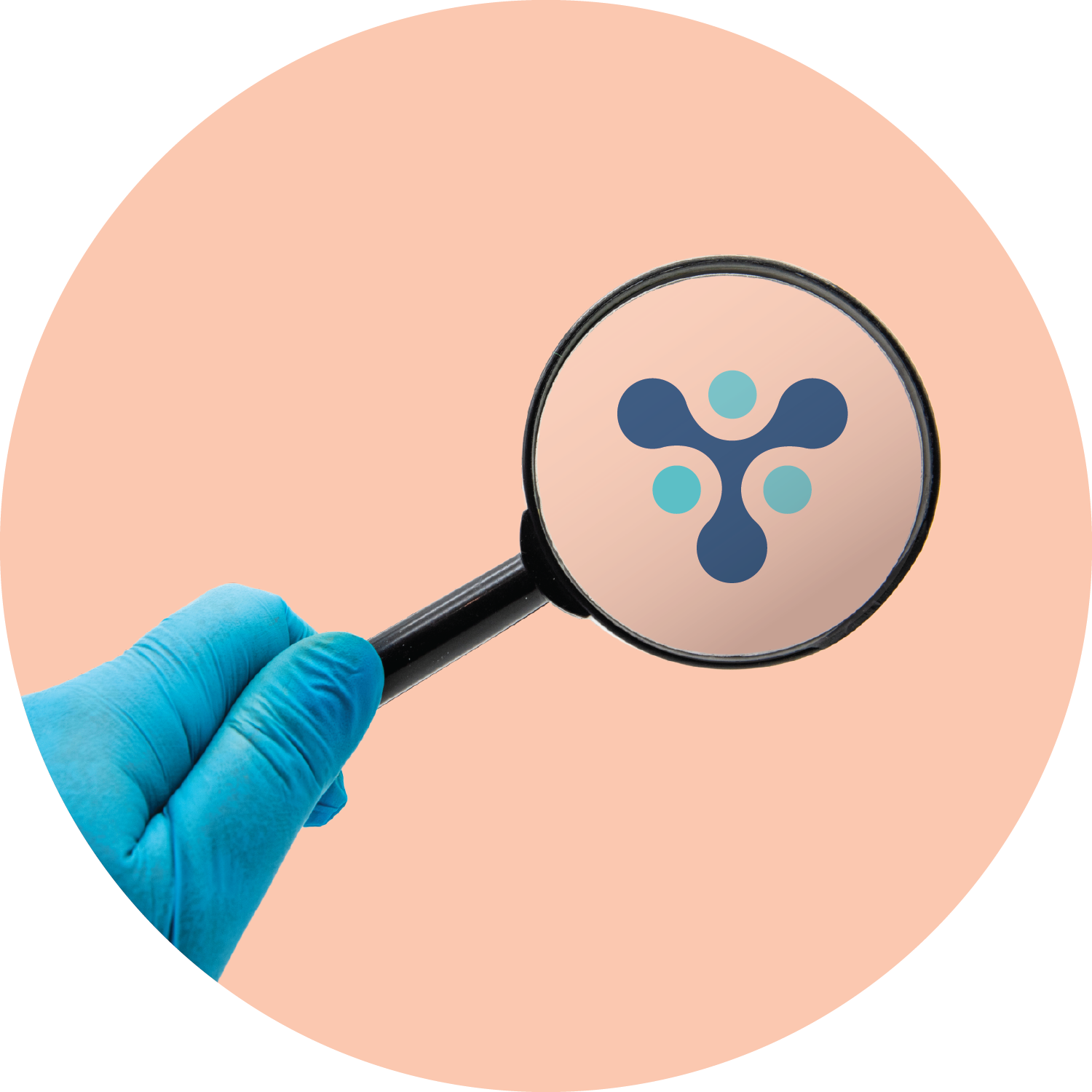 image_1_New Zoomer LP