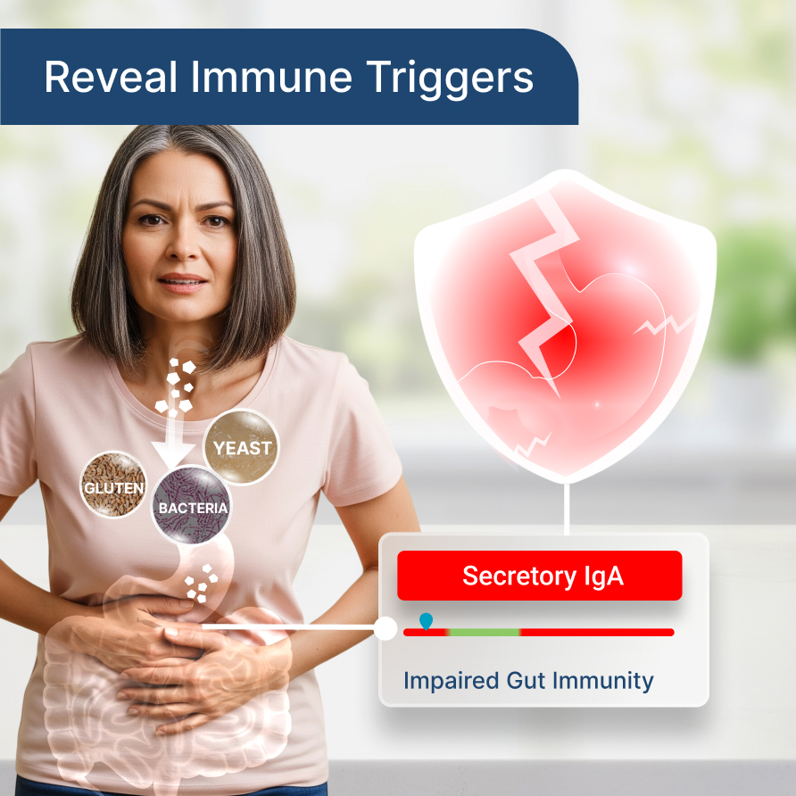 Next-Gen Gut Testing Webinar | Master The New Gut Zoomer